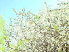 -北京安贞环宇荟