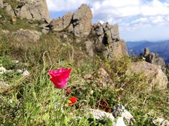 -白草畔自然风景区