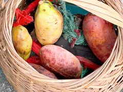 -东天目山风景区