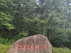 -五营国家森林公园