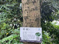 -广州市白云山风景名胜区