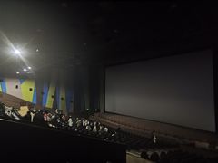 -天幕新彩云国际影城(激光巨幕店)