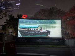 -枫花园汽车电影院(朝阳公园店)