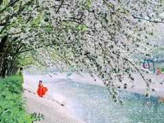 -海棠花溪(元大都城垣遗址公园)