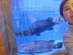 -绿岛国际酒店·海鲜酒楼(八七路店)