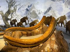 -泉城欧乐堡海洋极地世界