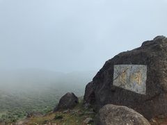 -大姆山草场