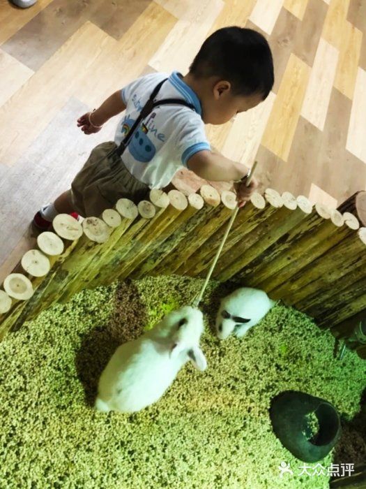 喜欢萌萌小动物的就来这家萌宠动物园