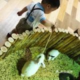 喜欢萌萌小动物的就来这家萌宠动物园