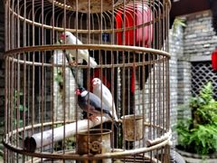 -鱼桥巷·美学川菜