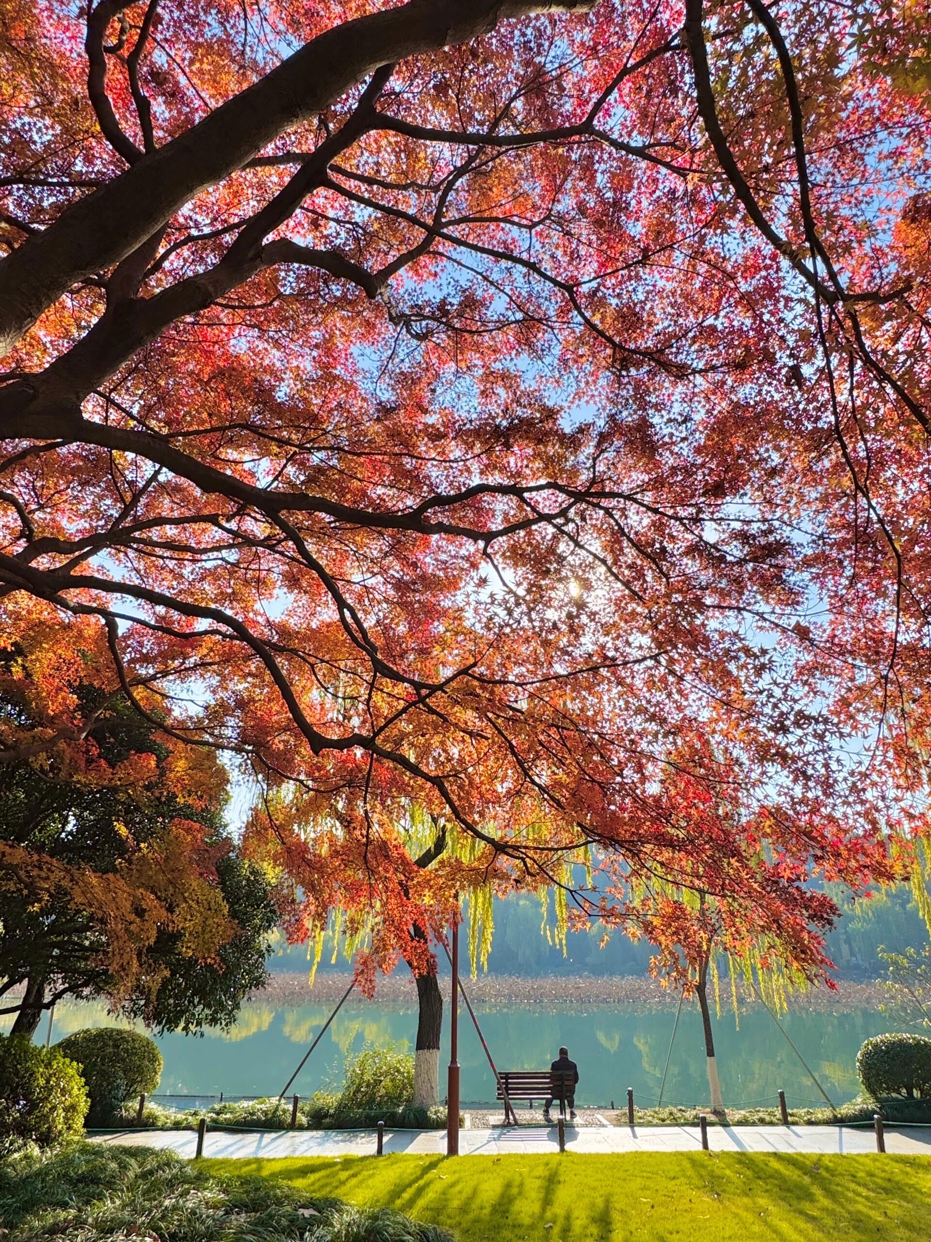 秋天来杭州,我只去一个地方