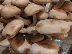 -捞神汤物料理(正大广场店)