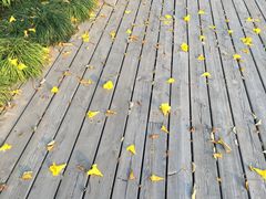 -狐尾山公园