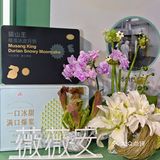消博会偶遇薇薇安‼️伍仁月饼让我刮目相看💥