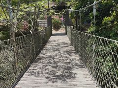 -海南热带雨林国家公园吊罗山景区