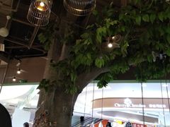 大堂-仙踪林(惠润广场店)
