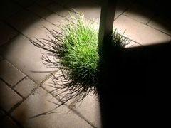 -虾乐园龙虾·夜宵(松江店)