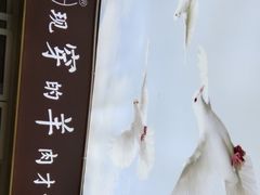 -徽三说·土徽菜·中国徽菜连锁品牌(一中店)