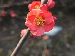 -石湖景区