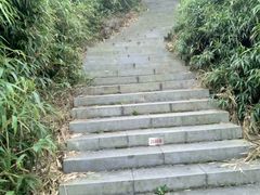 -银瓶嘴森林公园