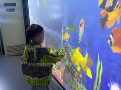 -陕西科学技术馆
