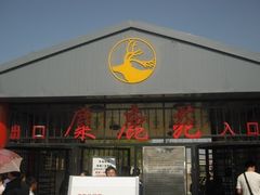 -北京麋鹿生态实验中心