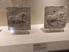 -张掖市博物馆