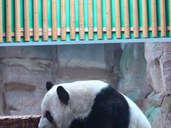 -无锡动物园·太湖欢乐园
