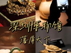 -深圳博物馆