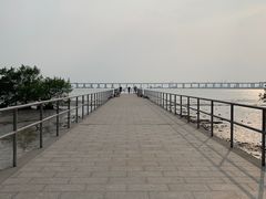 -宝安西湾红树林湿地公园