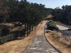 -柱状节理带