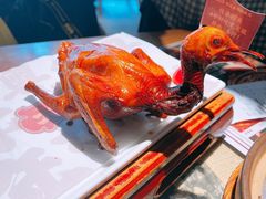 红烧乳鸽-大鸽饭(北京路店)
