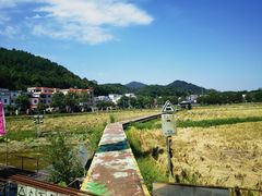 -红山村