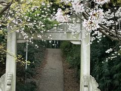 -苏州上方山国家森林公园