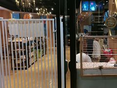 -藏猫猫咖啡主题馆(中央大道店)