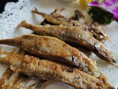 -法兰度航空主题餐厅(端州店)