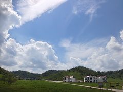 -关山草原