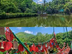 -西双版纳原始森林公园