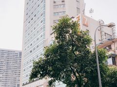 -青石桥老瓦房肥肠粉总店(青石桥总店)