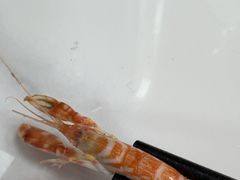 -健跳小海鲜(人民路店)
