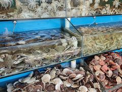 -港畔赶海蒸汽海鲜烧烤自助(仙螺岛店)
