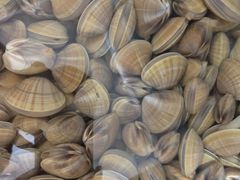 -宾朋海鲜特色美食餐厅·纯手工鲅鱼水饺(兴海路店)