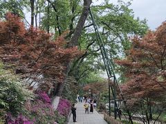 -岳麓山风景名胜区
