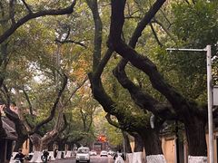 -颐和路民国时期公馆风貌区