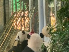 -北京动物园