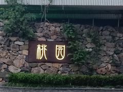 -桃园农庄烤全羊(江秋路店)