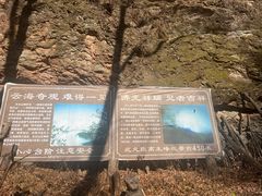 -天女山森林公园