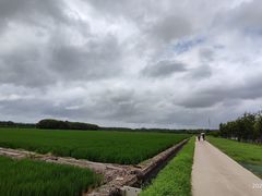 -嘉北郊野公园