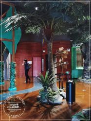 -奇幻丛林(佛罗伦萨小镇店)