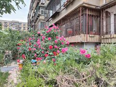 -必胜客(金元宝店)